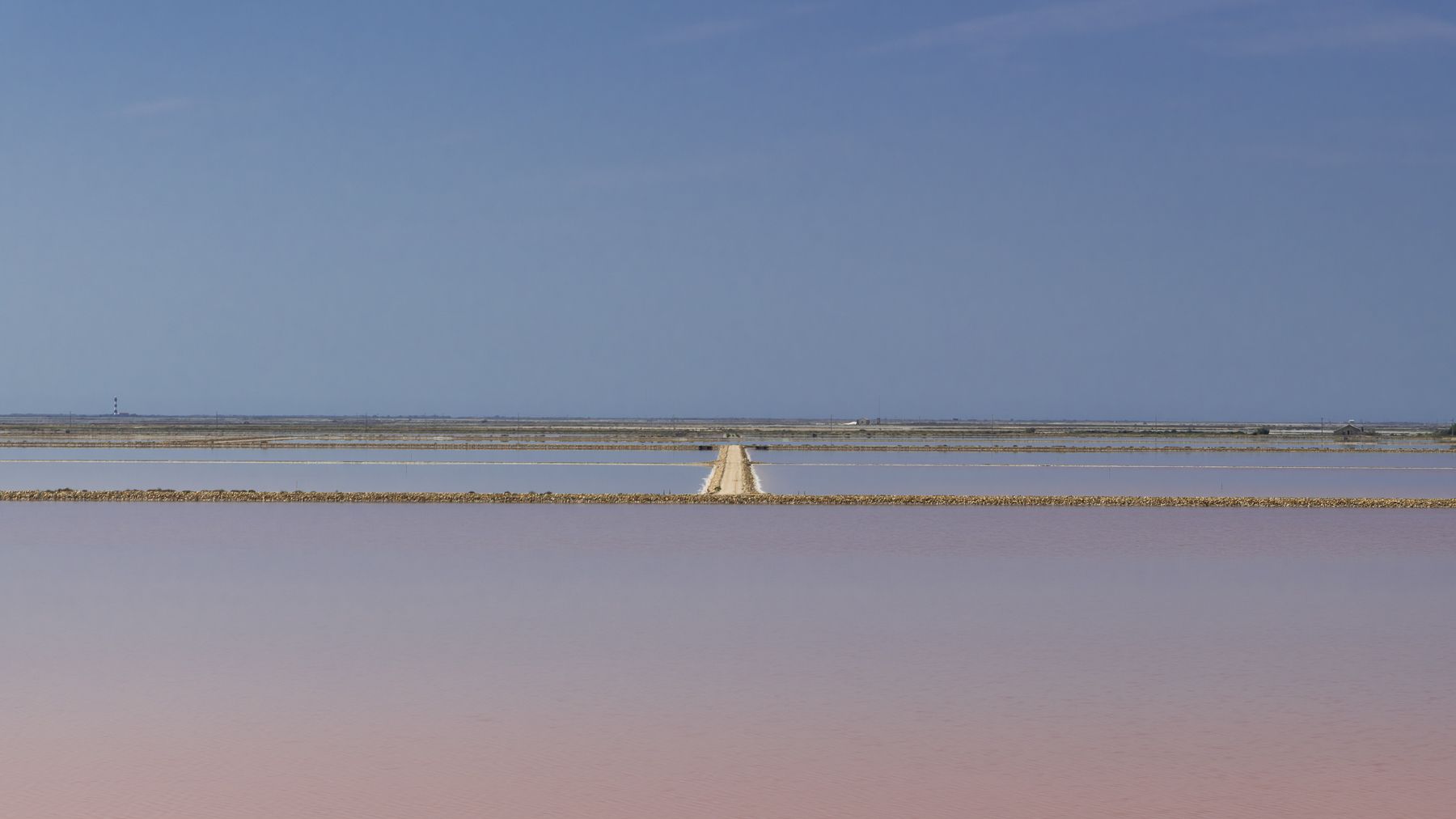 Flamingos in the Setting Sun, France