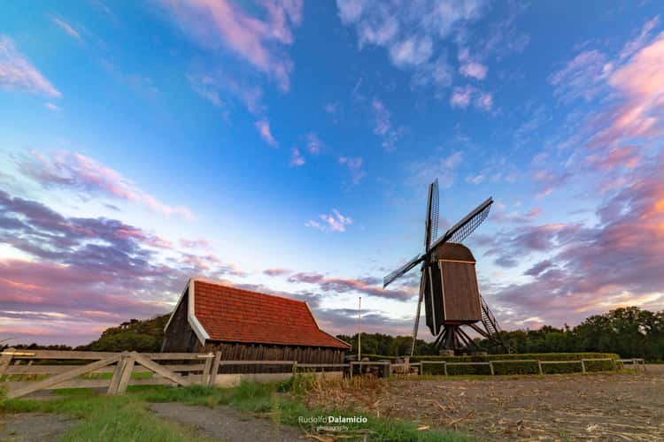 Flower Mill