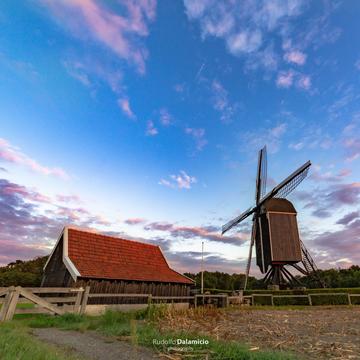 Flower Mill, Netherlands