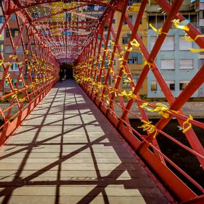 The Pont de les Peixateries Velles, Girona, Spain