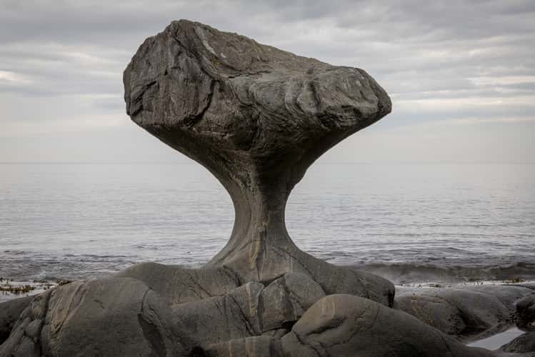 Kannesteinen Rock