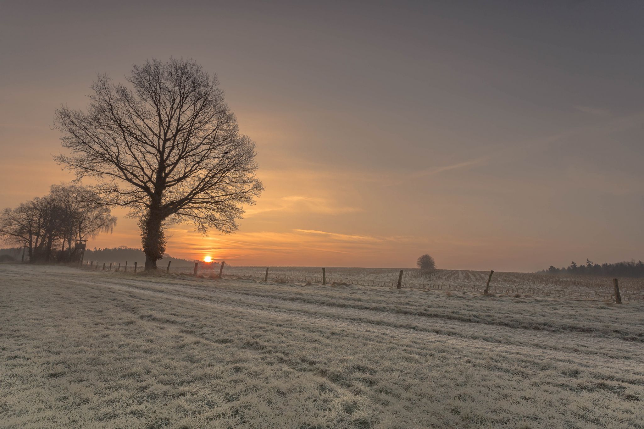 Landscape, Lower Saxony Germany, Germany