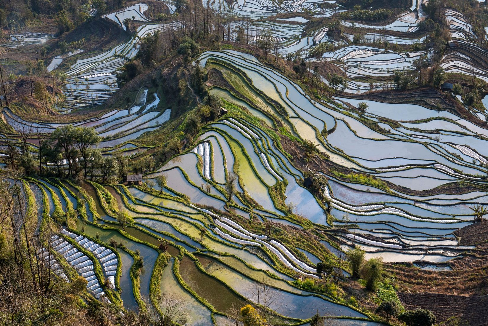 Laohuzi Terraced Rice Fields, China