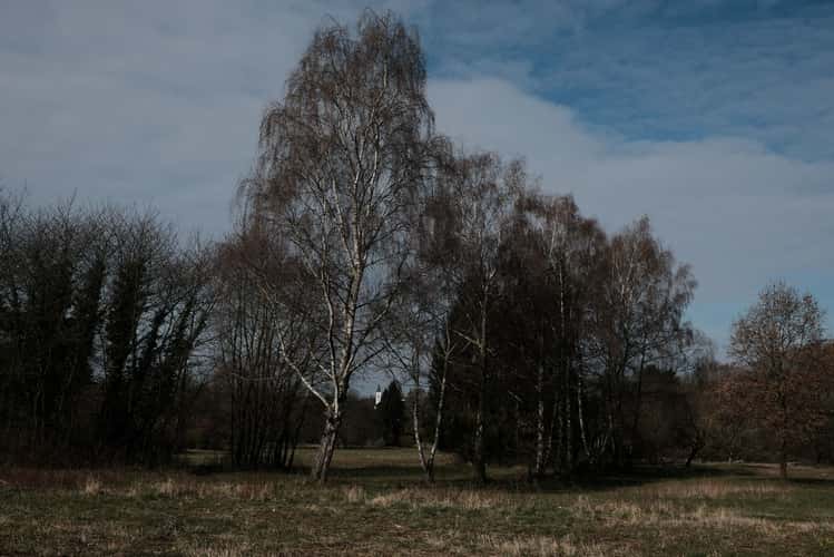 Lerchenberg, near Darmstadt