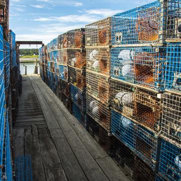 Lobster Traps, USA