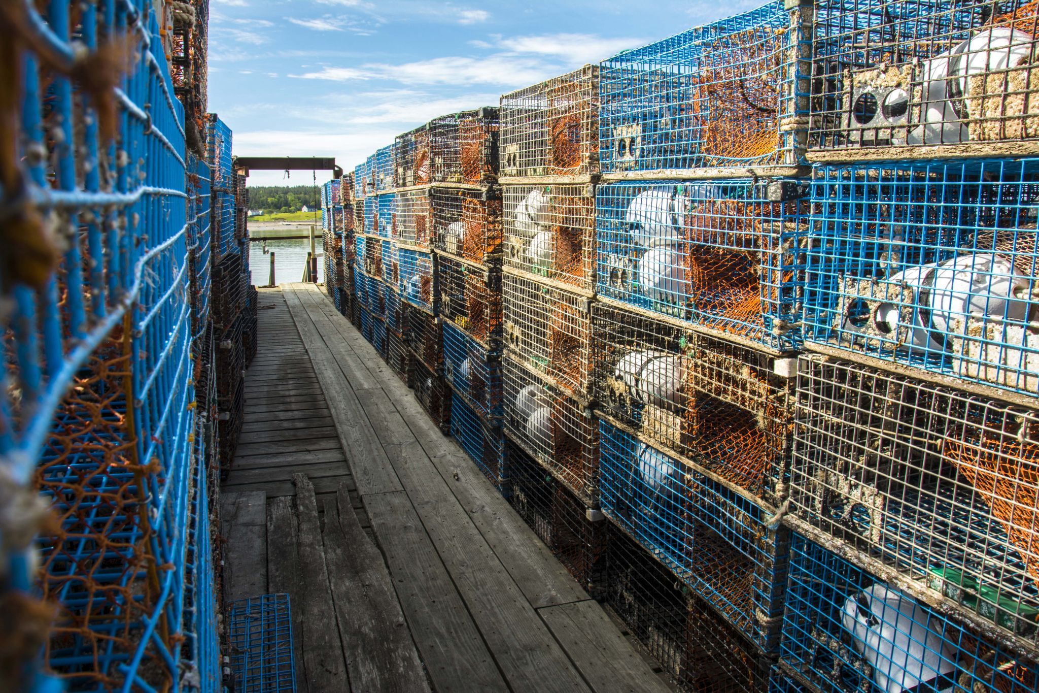 Lobster Traps, USA