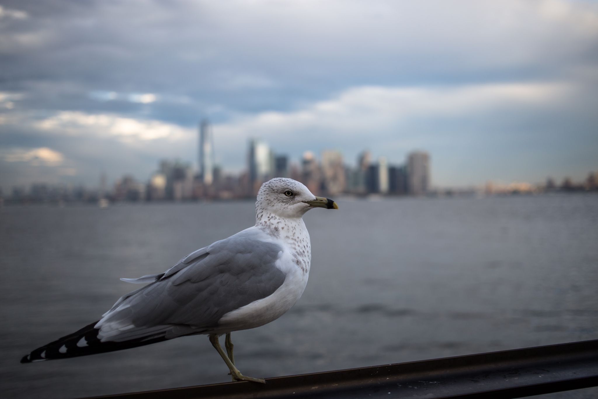 Lower Manhattan view from Liberty Island, USA
