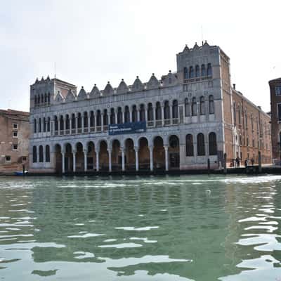 Natural History Museum, Italy