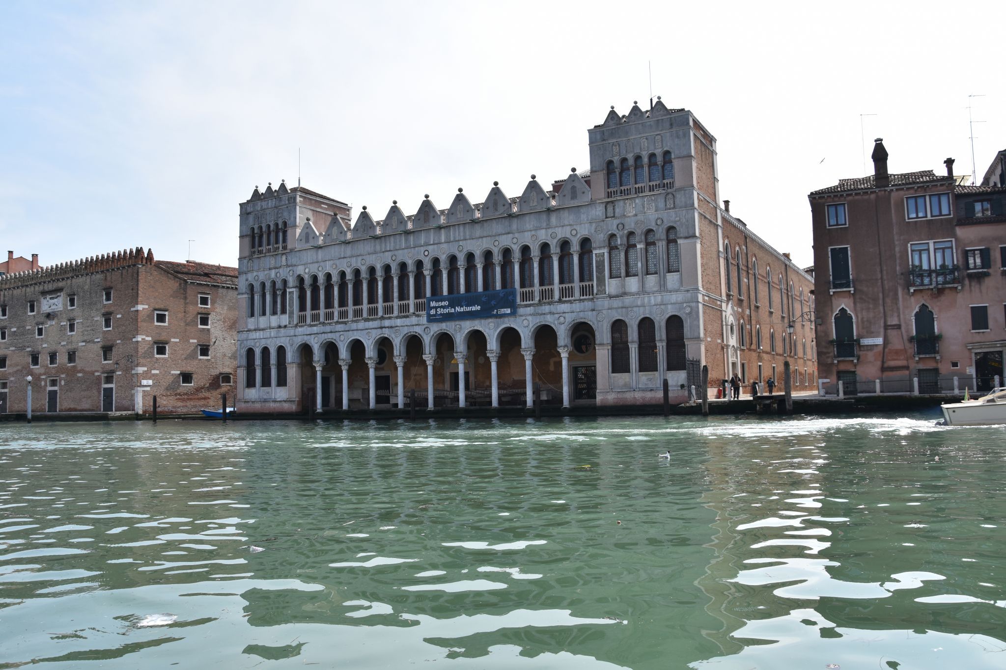 Natural History Museum, Italy