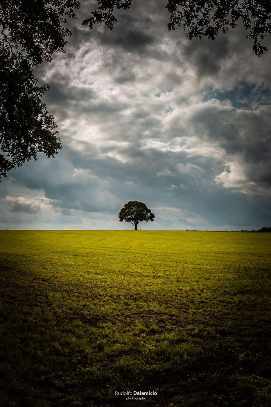 Open field, Netherlands