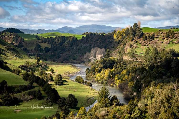 Piriaka Lookout