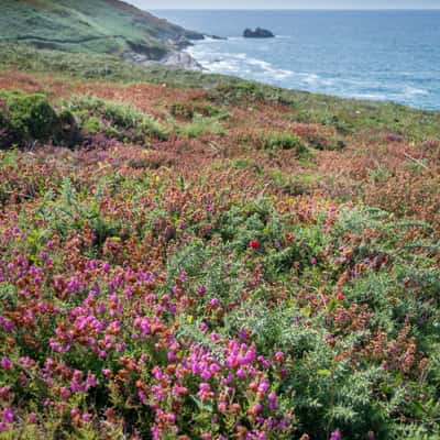 Pointe du Millier, Brittany, France