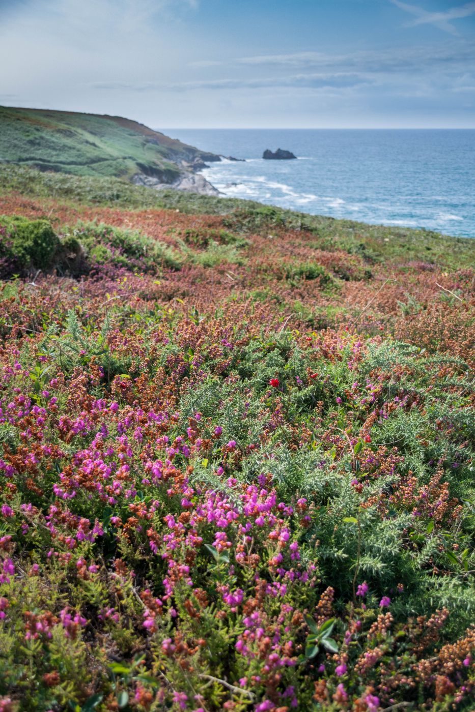 Pointe du Millier, Brittany, France