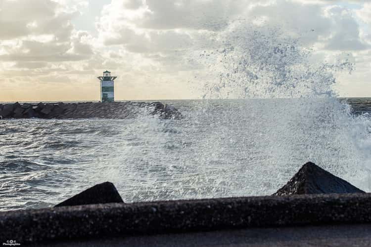 Port of The Hague