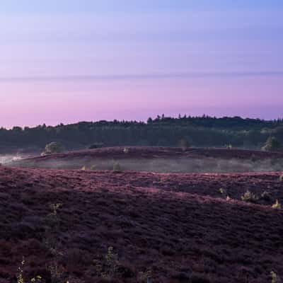 Posbank/Rheden, Netherlands