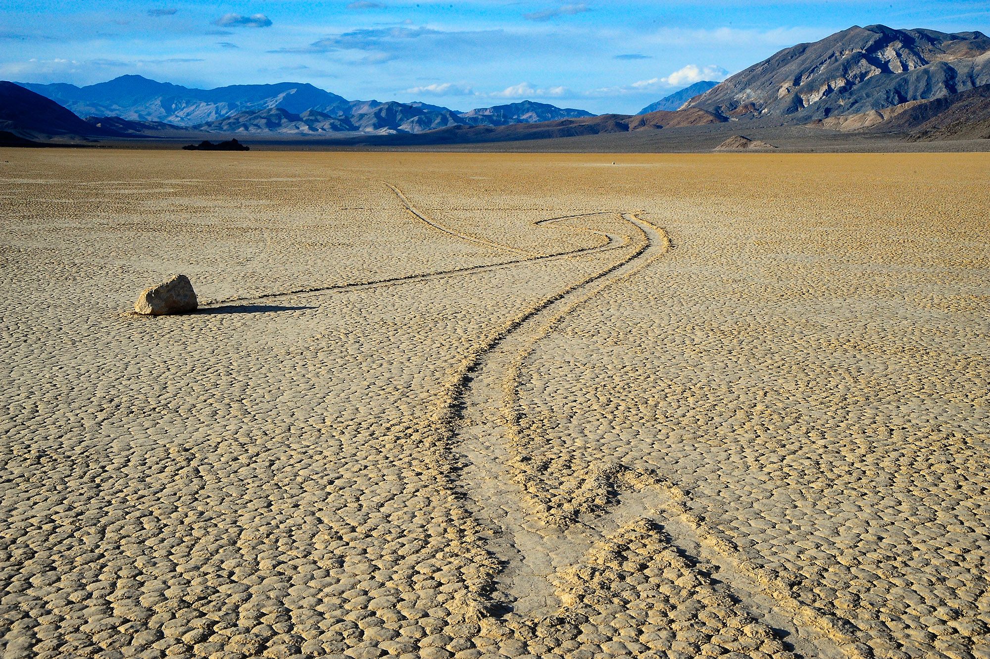 Racetrack, USA