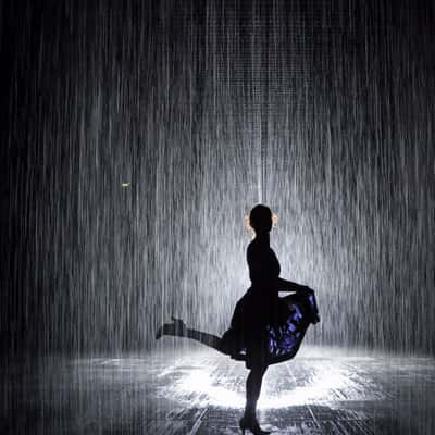 Rain Room, United Arab Emirates