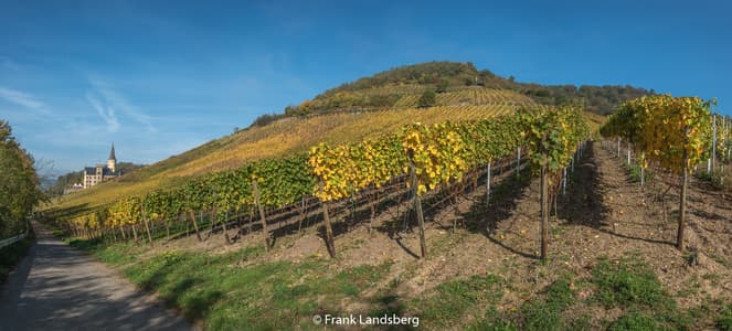 Schloss Arenfels