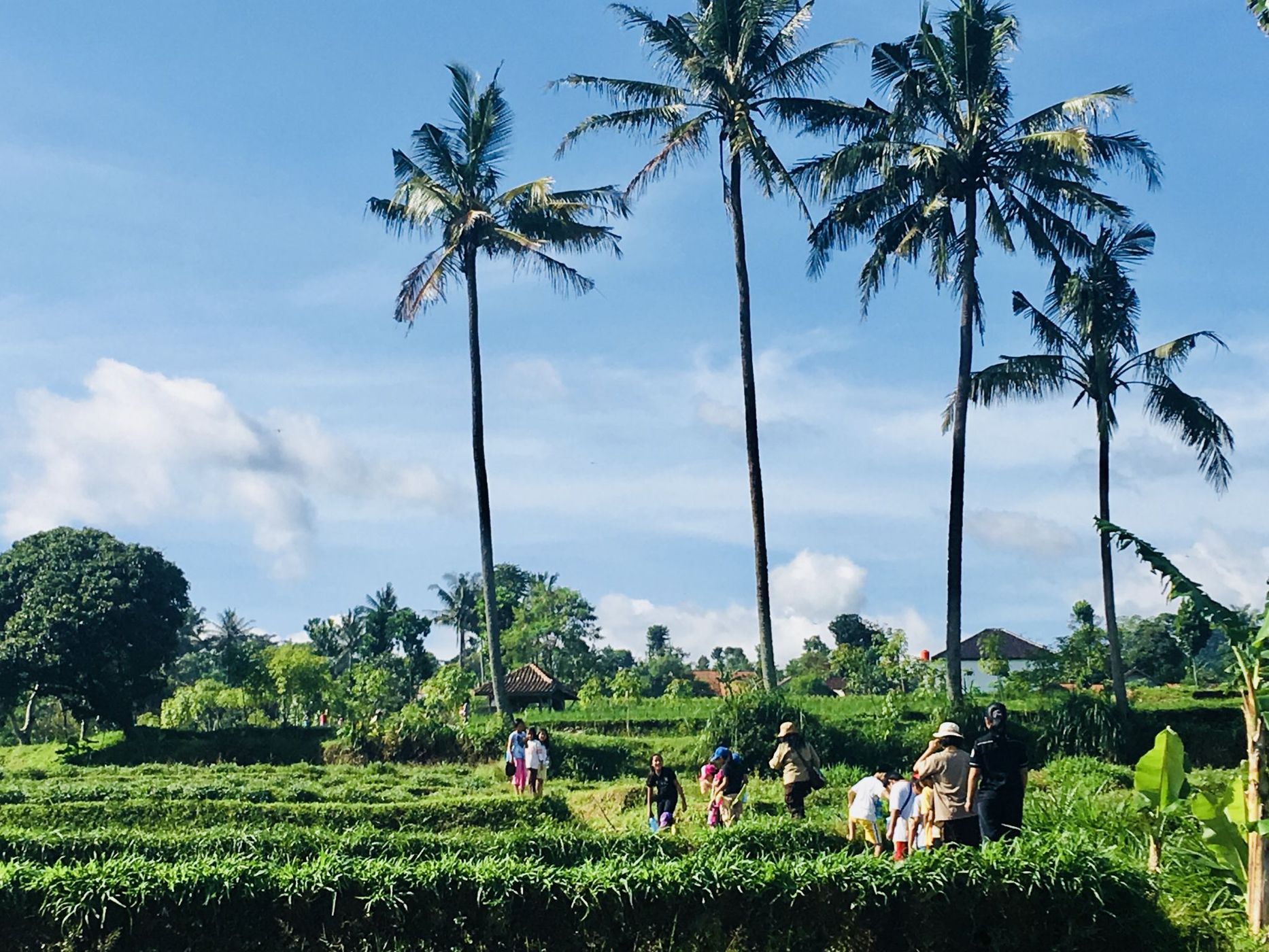 Sindang Panon, Indonesia