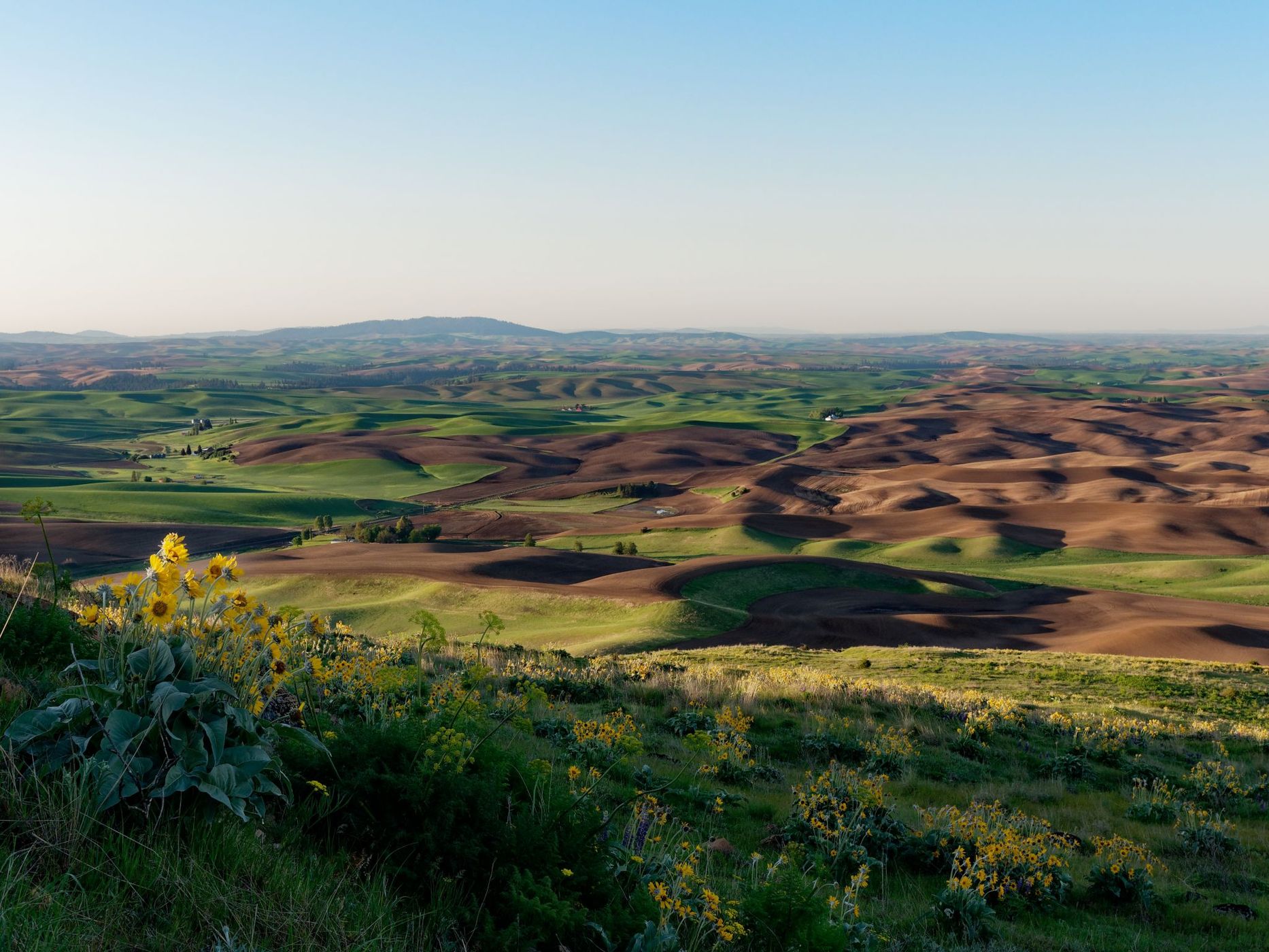 Steptoe Butte State Park, USA