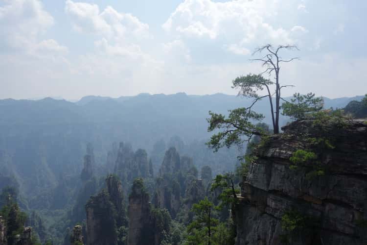 Tianzi Mountain