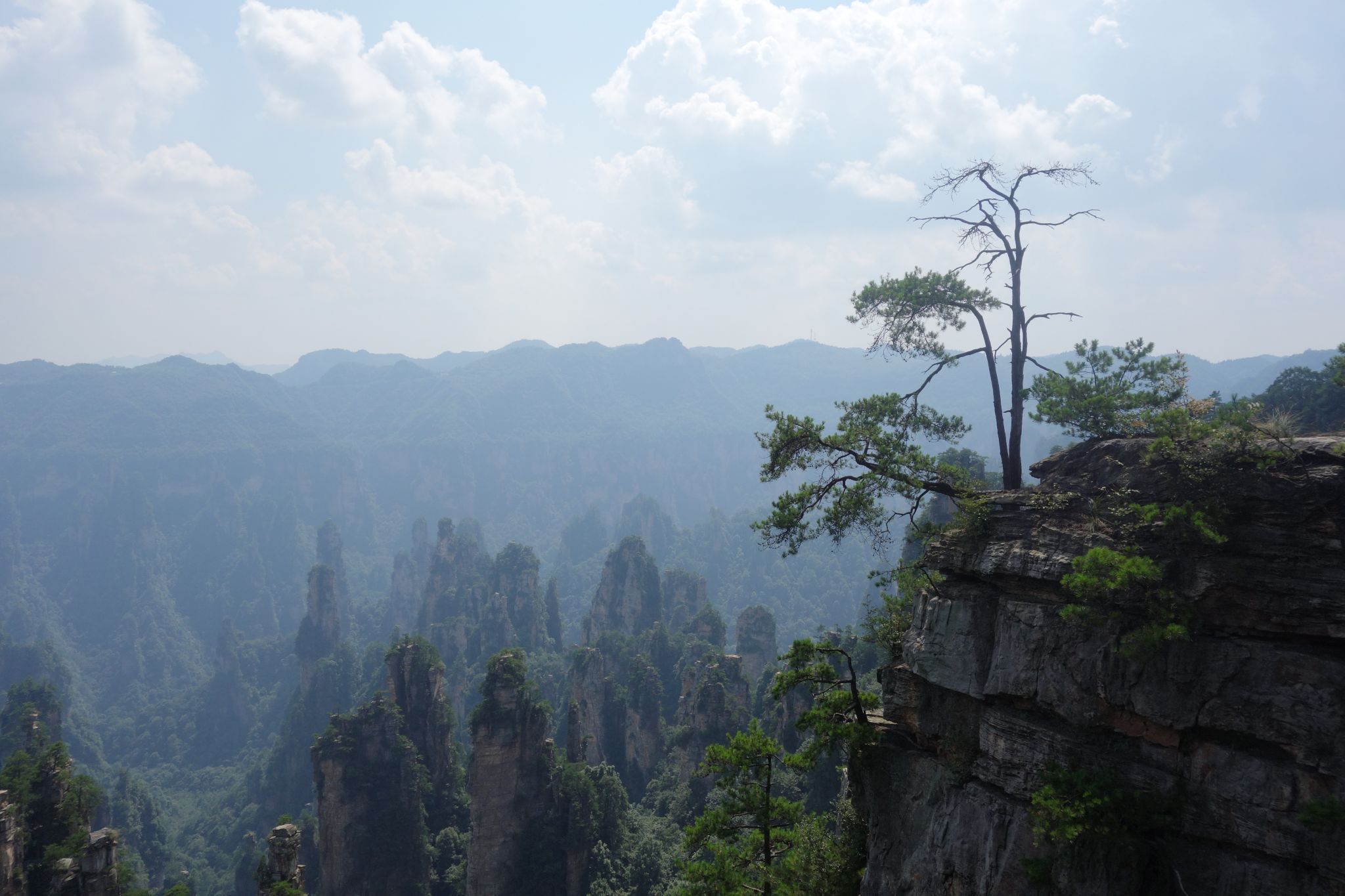Tianzi Mountain, China