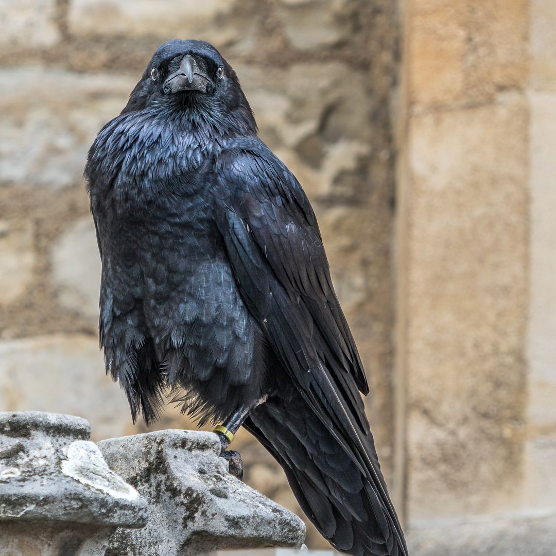 Tower of London, United Kingdom