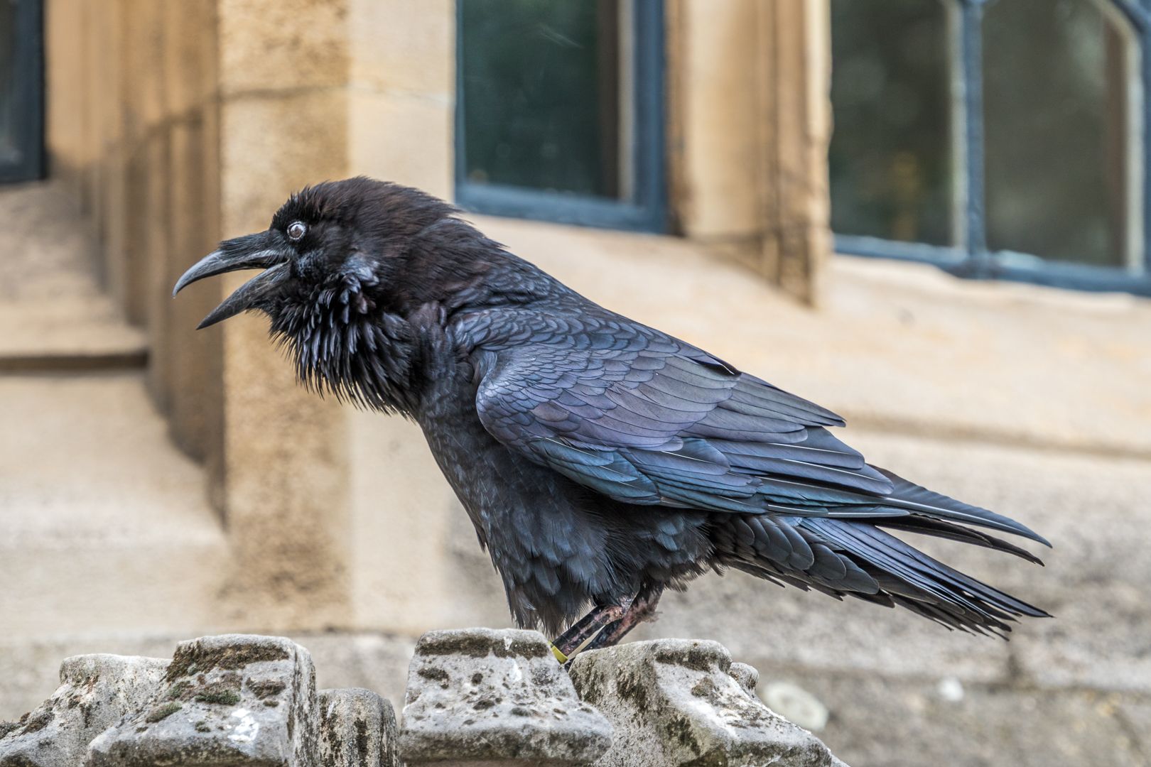 Tower of London, United Kingdom