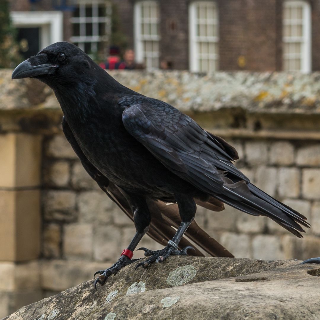 Tower of London, United Kingdom