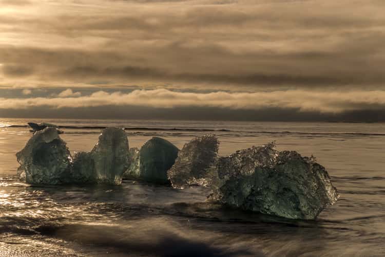 Turtle Iceberg on the beach