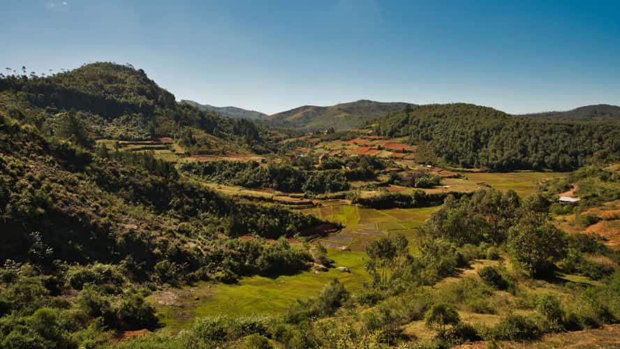 Typical Madagascar