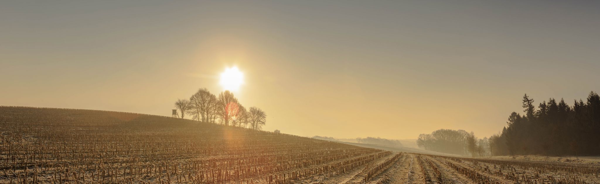 Vierde, between Bad Fallingbostel and Dorfmark, Germany