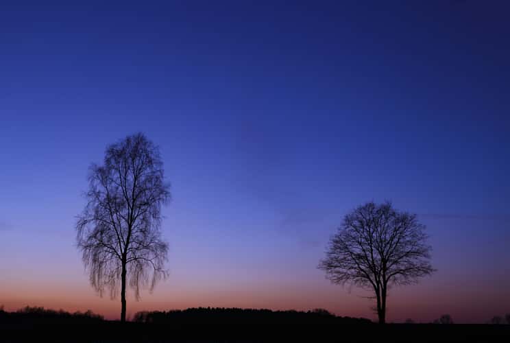Vierde, between Bad Fallingbostel and Dorfmark