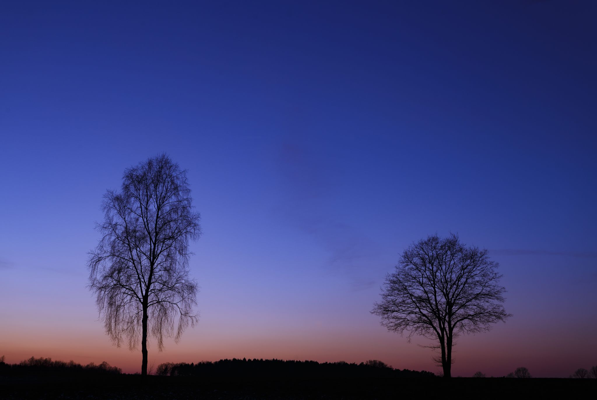 Vierde, between Bad Fallingbostel and Dorfmark, Germany