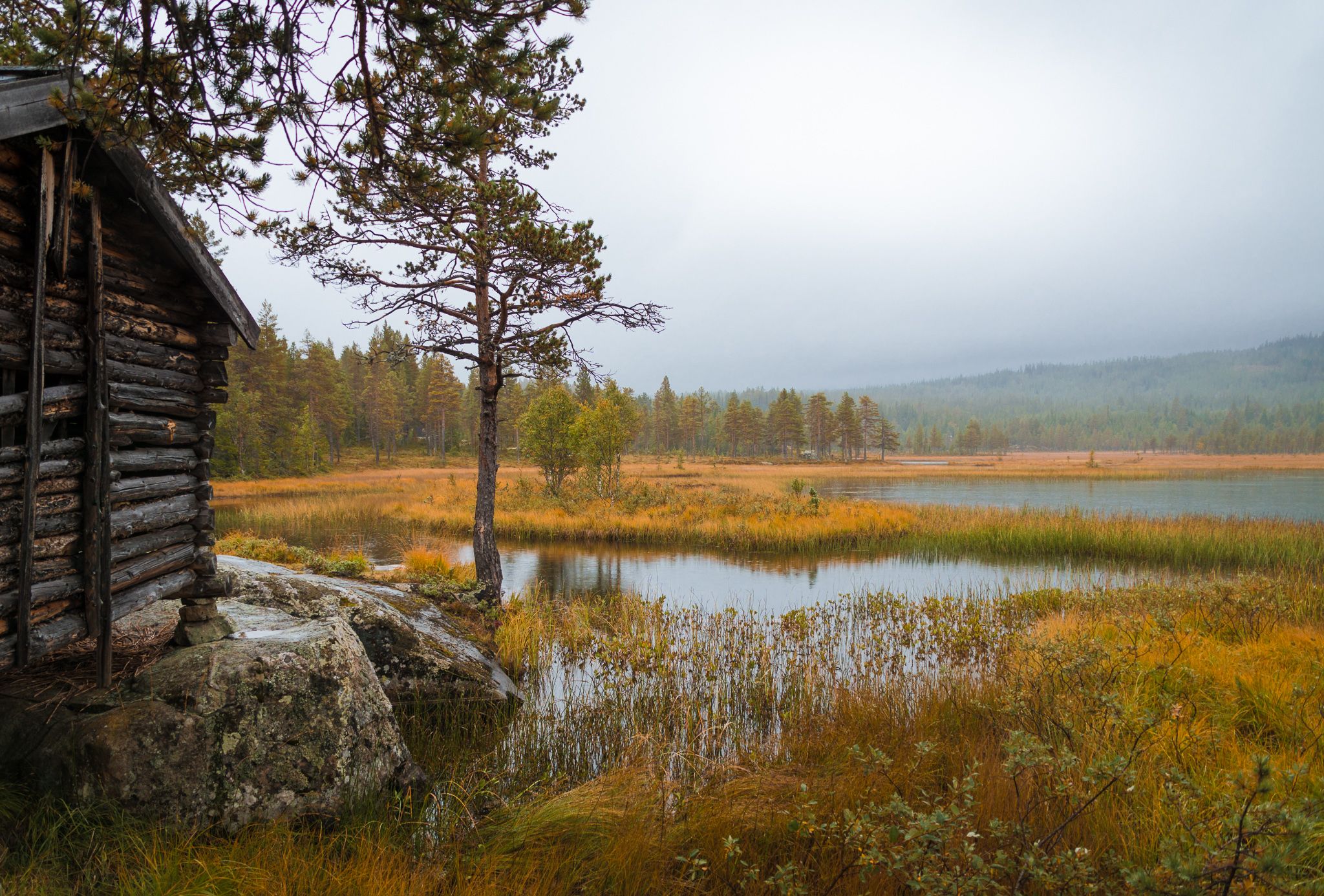 View at a wooden house in a nature reservation, Norway