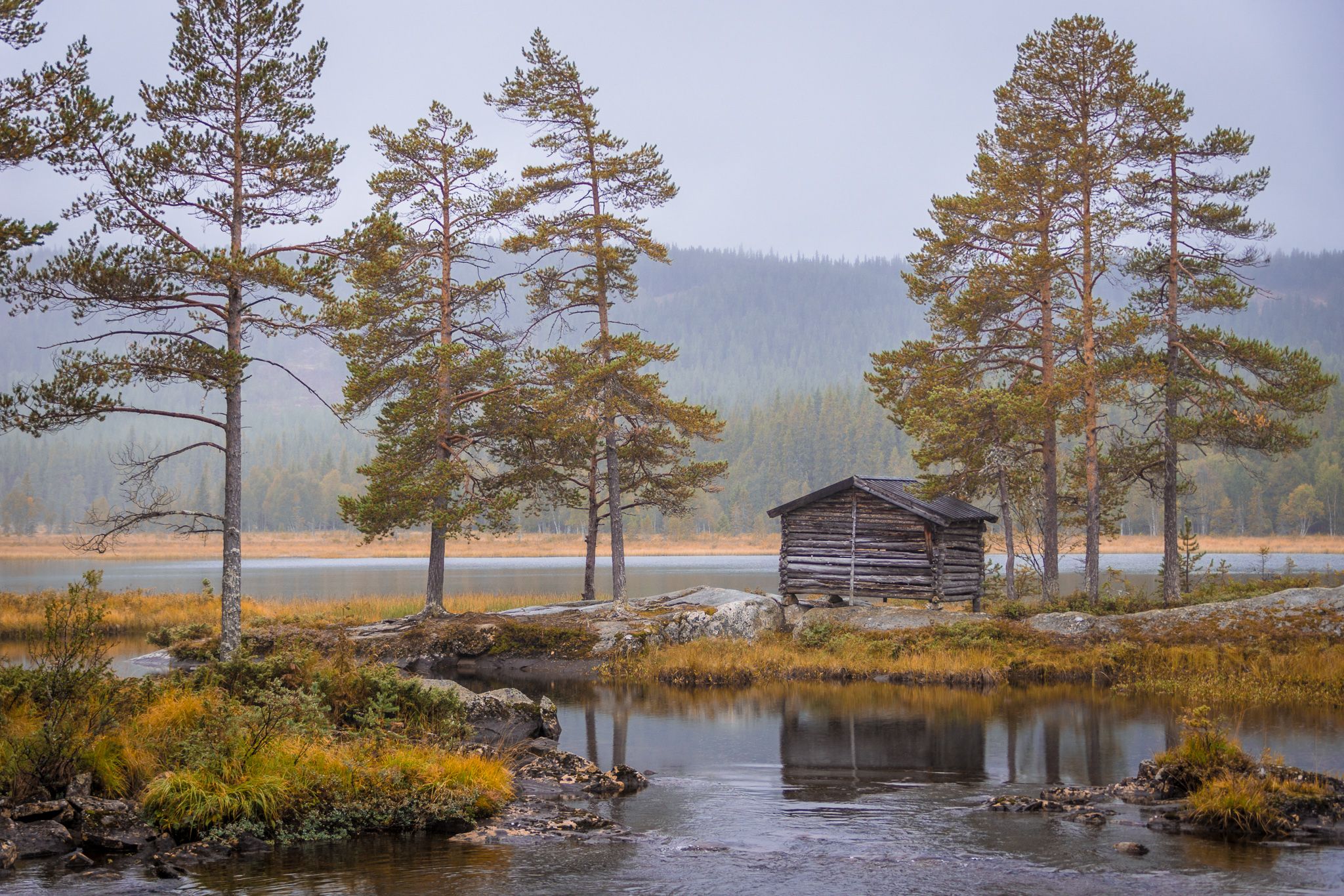 View at a wooden house in a nature reservation, Norway