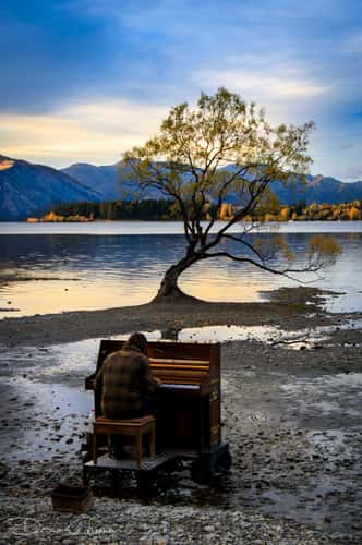 Lake Wanaka - The lonely Tree