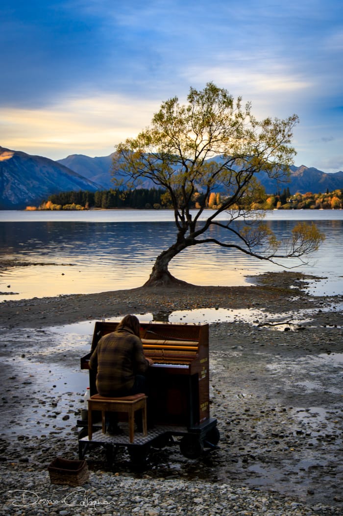 Lake Wanaka - The lonely Tree, New Zealand