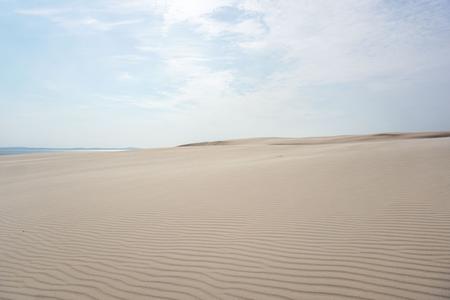 Wydma Łącka - Sand Dunes, desert-like