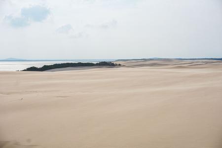 Wydma Łącka - Sand Dunes, desert-like