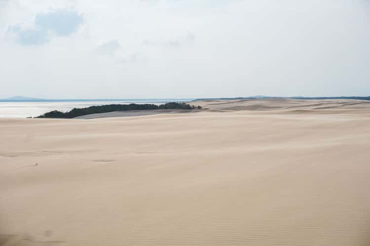 Wydma Łącka - Sand Dunes, desert-like