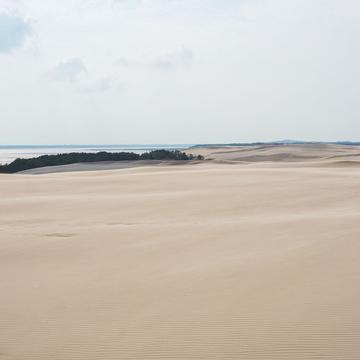 Wydma Łącka - Sand Dunes, desert-like, Poland