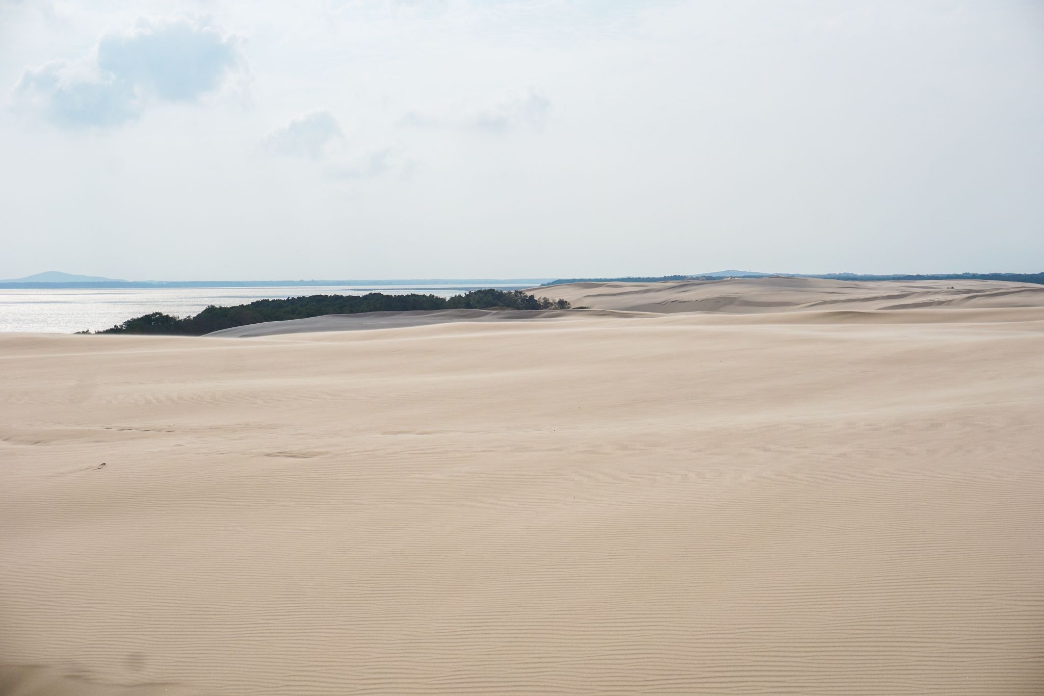 Wydma Łącka - Sand Dunes, desert-like, Poland