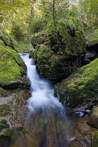 Alp Vorderwengi