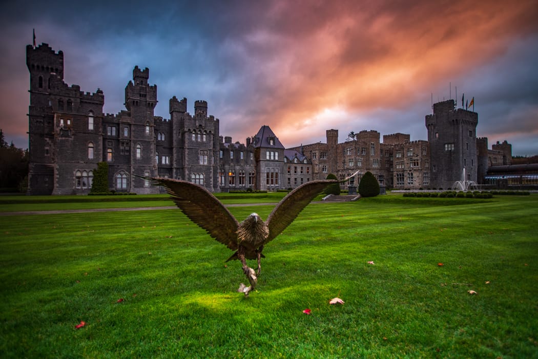 Ashford castle Eagle, County Mayo, Ireland