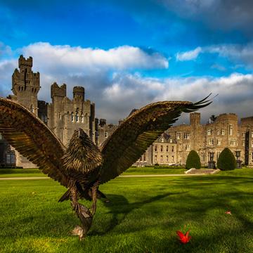 Ashford castle Eagle, County Mayo, Ireland
