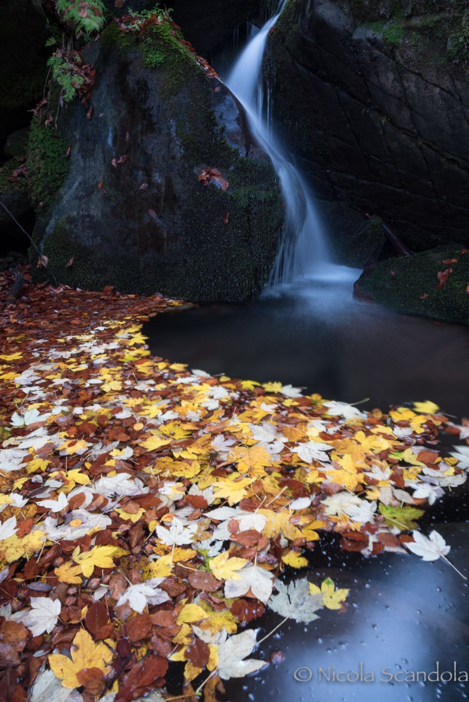 Autumn at Corno alle Scale, Italy