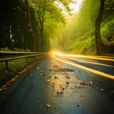 Autumn roads, Portugal