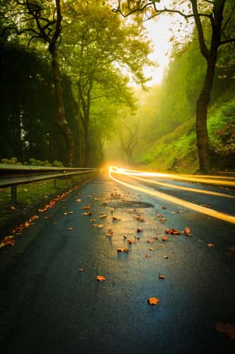 Autumn roads, Povoação