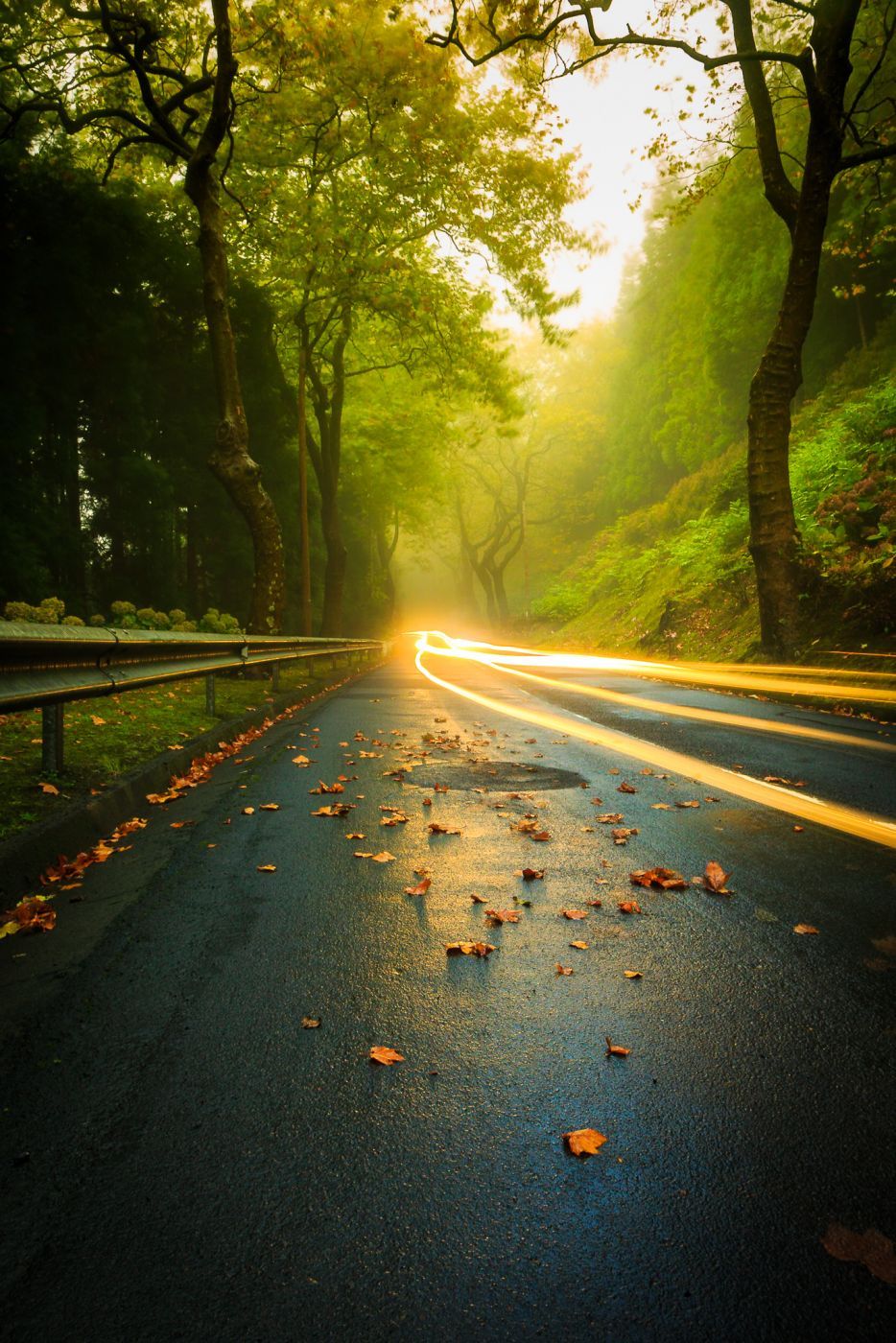 Autumn roads, Povoação, Portugal